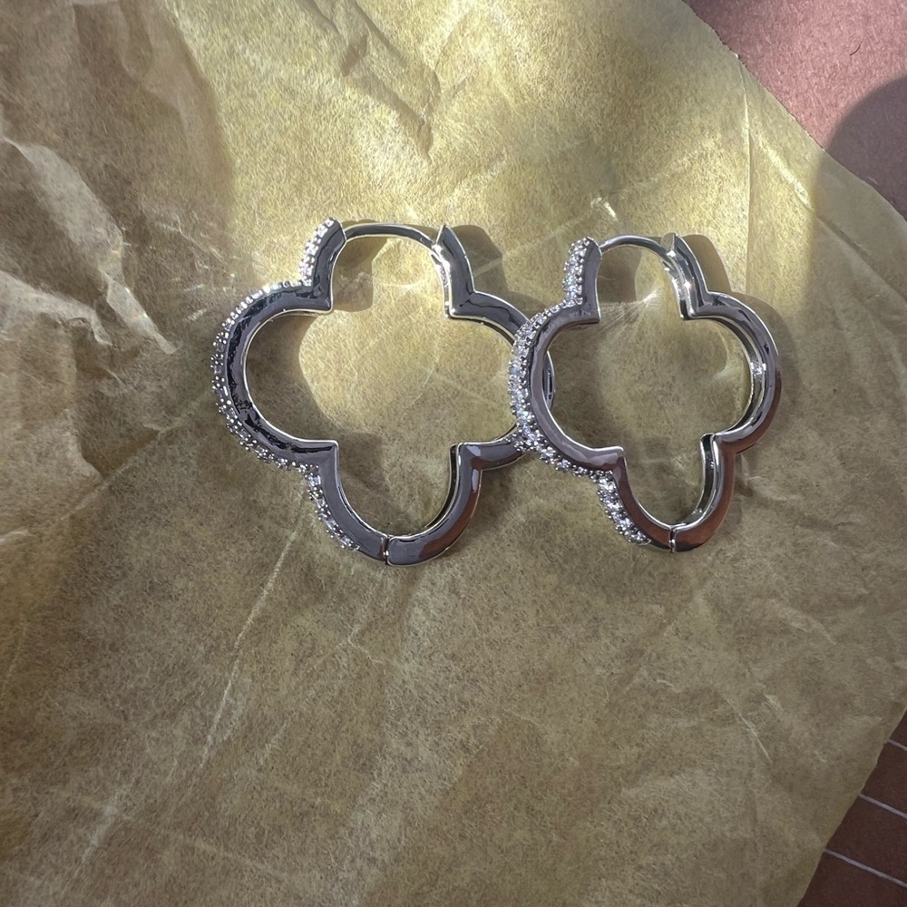 Earrings never used - Picture 1 of 4